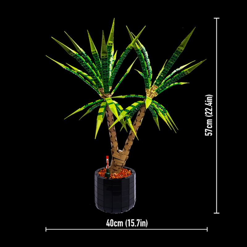 Dracaena Marginata - 1961pcs MOC Dracaena Marginata Dragon Tree