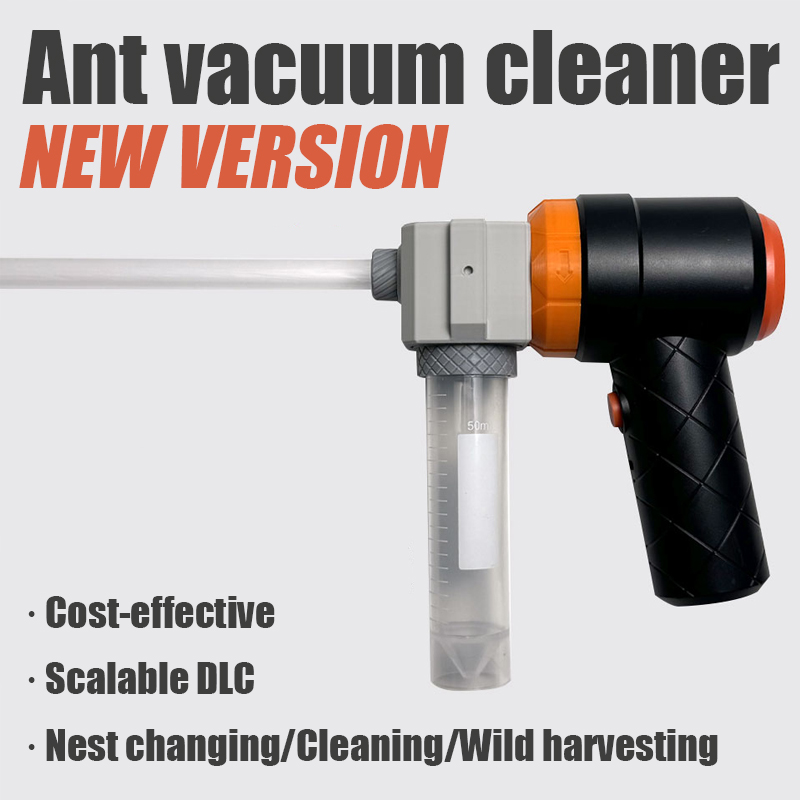 Ant Farm Collection Tool Ants  - Begonia Rex recension och pris