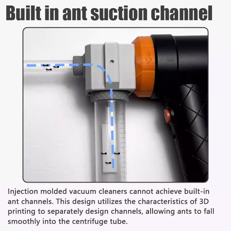 Ant Farm Collection Tool Ants  - Begonia Rex recension och pris