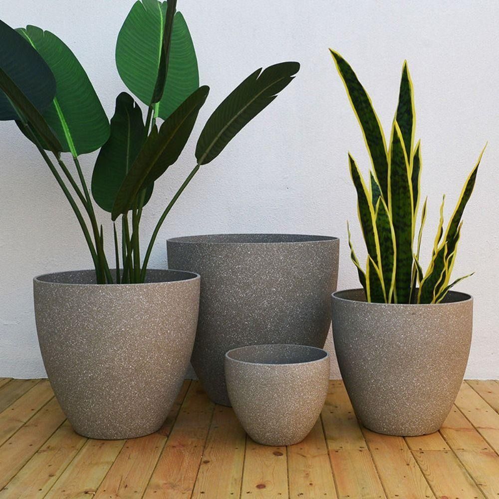 Frosted Imitation Stone Bonsai - Aloe Vera Pot recension och pris