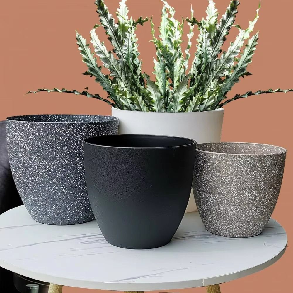 Frosted Imitation Stone Bonsai - Aloe Vera Pot recension och pris