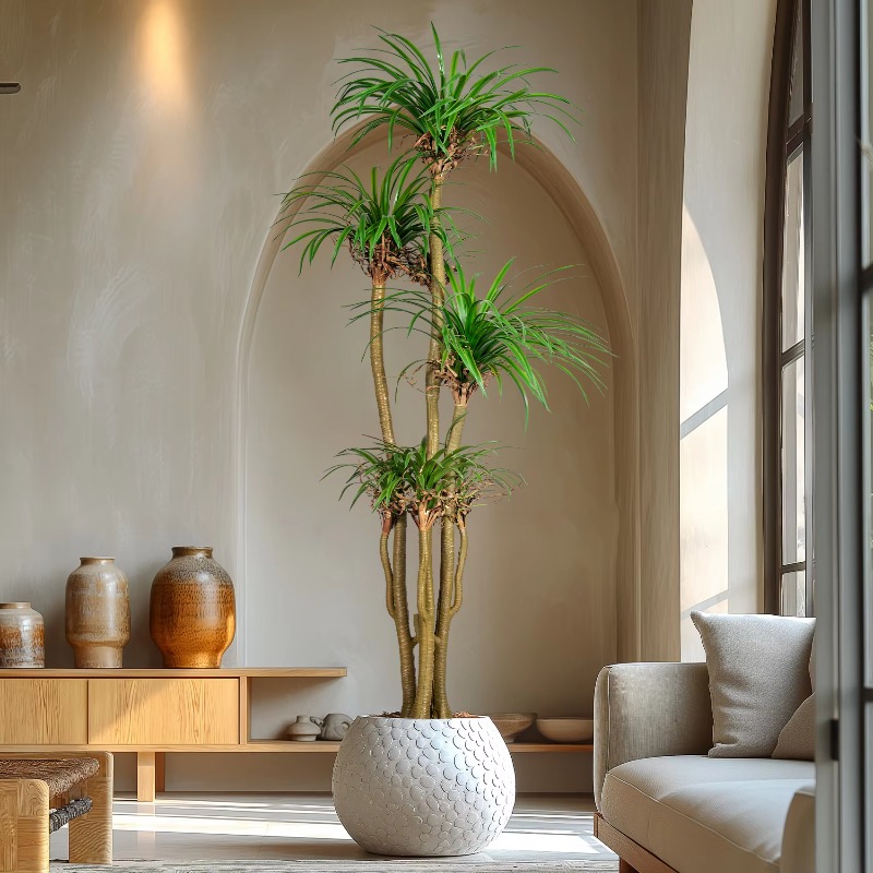 Indoor/Outdoor Home Tree Simul - Dracaena Marginata recension och pris