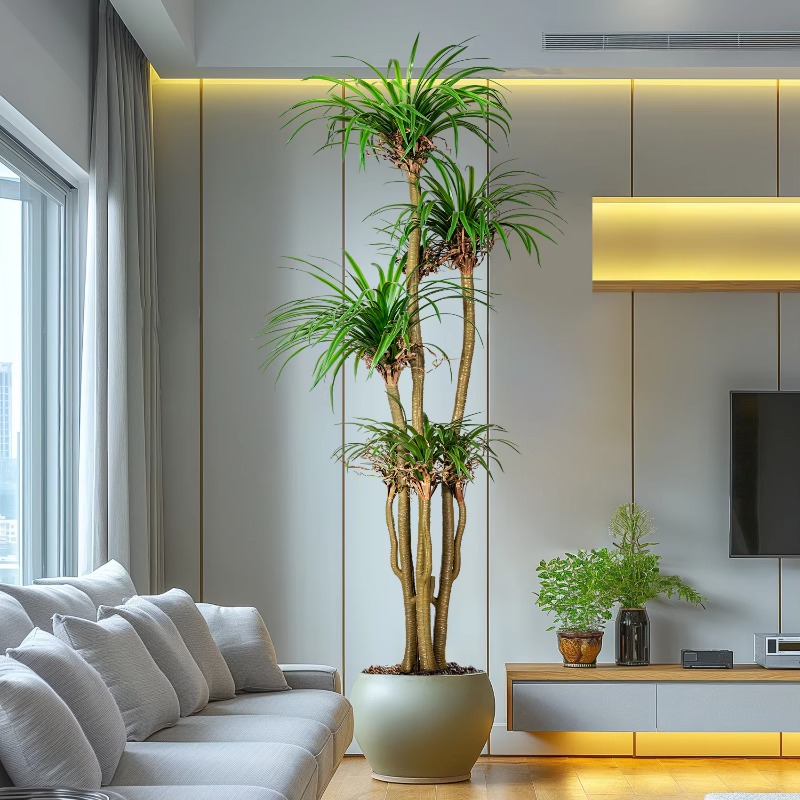 Indoor/Outdoor Home Tree Simul - Dracaena Marginata recension och pris