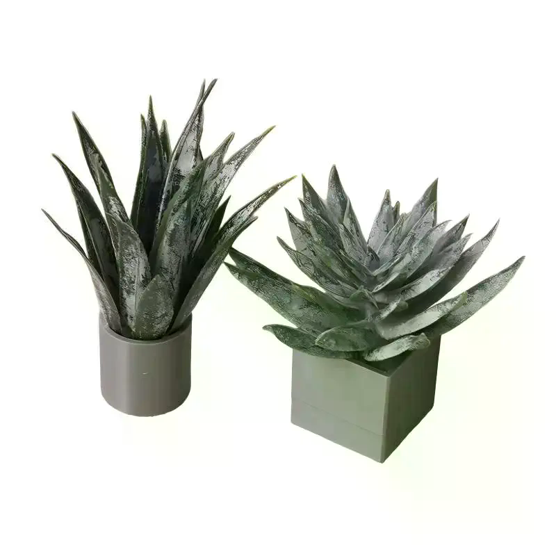 Miniature Aloe Vera Potted Pla - Aloe Vera Pot recension och pris