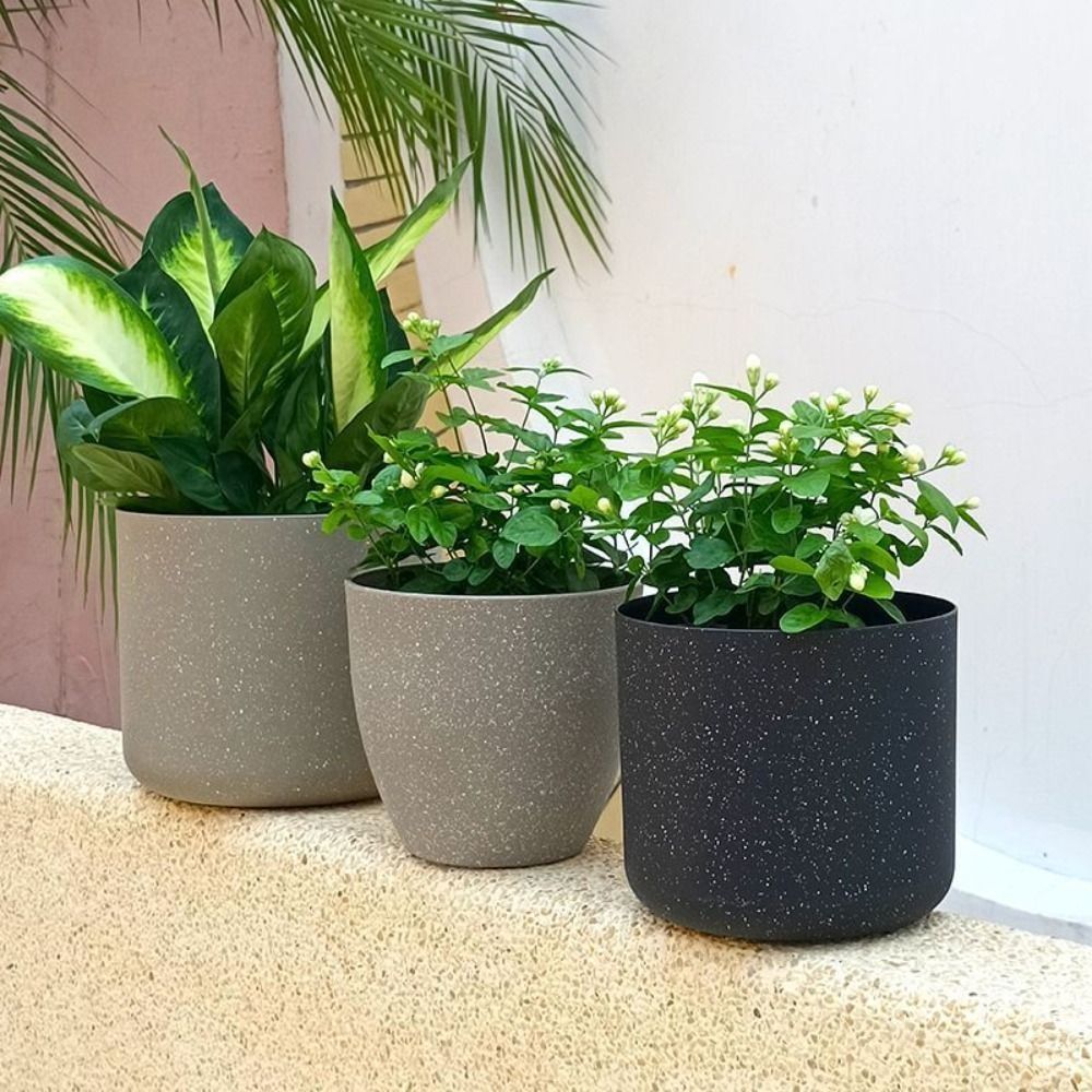 Frosted Imitation Stone Flower - Aloe Vera Pot recension och pris