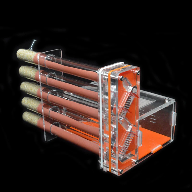 DIY Acrylic Ant Farm 5 pcs 18- - Begonia Rex recension och pris