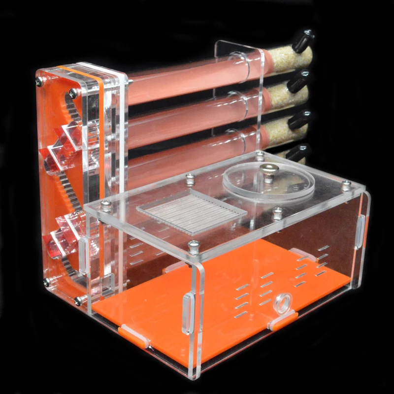 DIY Acrylic Ant Farm 5 pcs 18- - Begonia Rex recension och pris