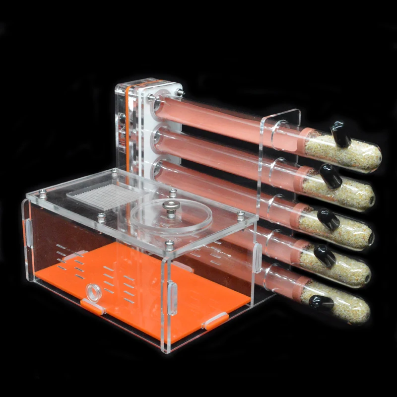 DIY Acrylic Ant Farm 5 pcs 18- - Begonia Rex recension och pris
