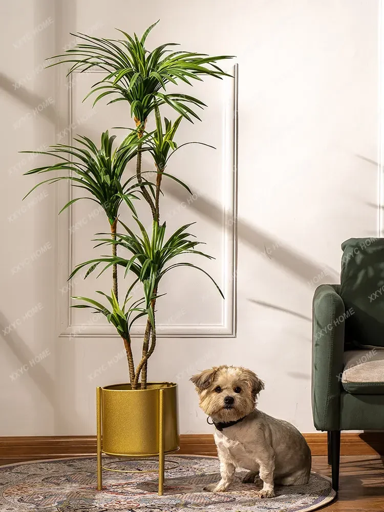Simulation Colorful Ponytail I - Dracaena Marginata recension och pris