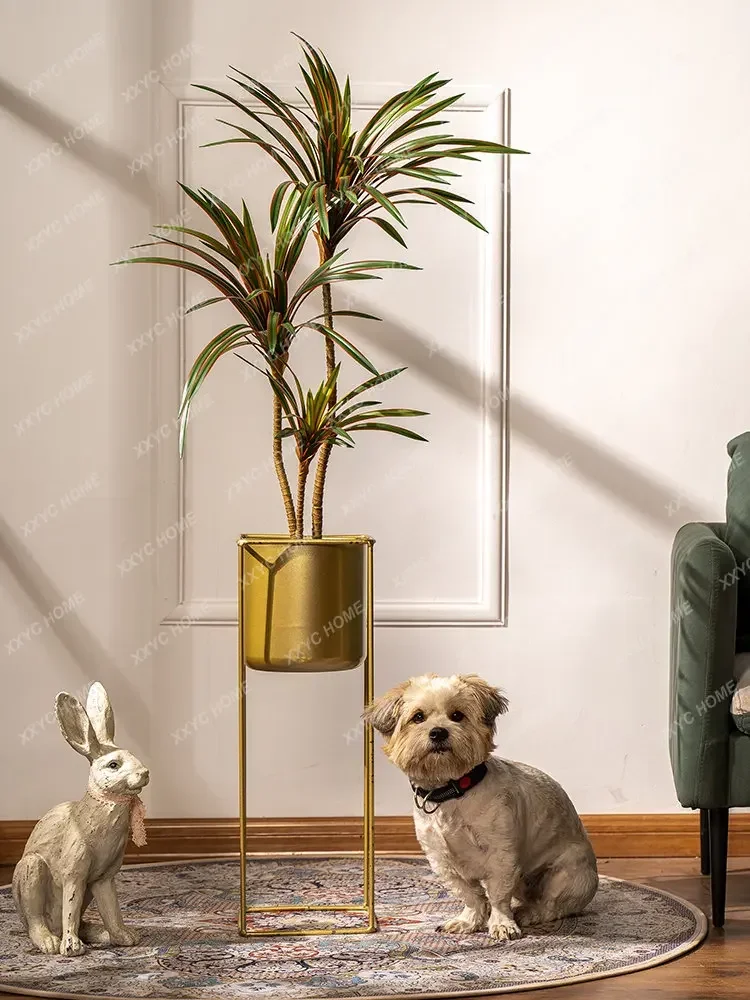 Simulation Colorful Ponytail I - Dracaena Marginata recension och pris