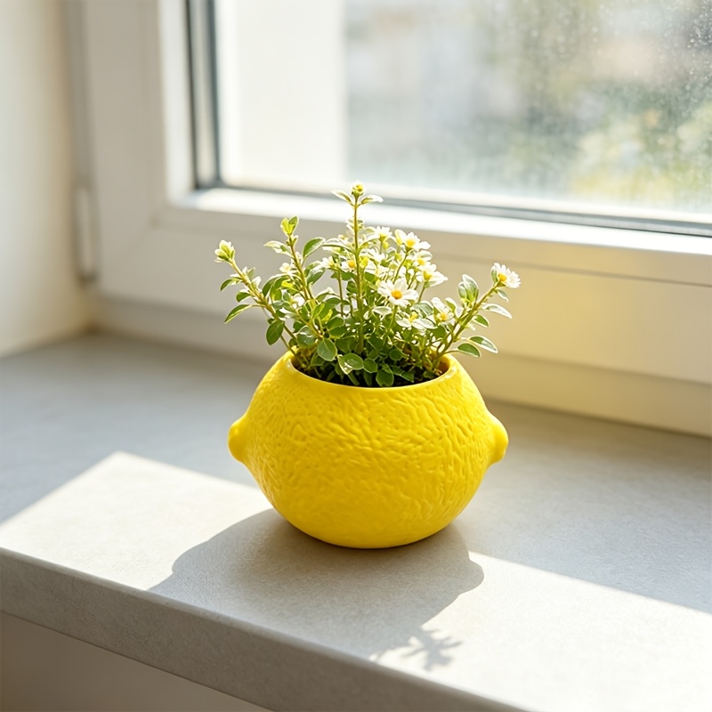 Lemon Shape Decorative Planter - Echeveria Succulent recension och pris