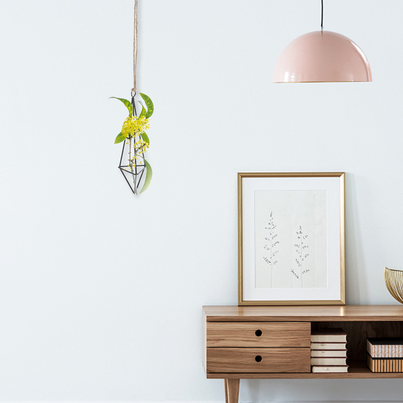 Metal Air Plant Holder Hanging - Spider Plant Hanging recension och pris