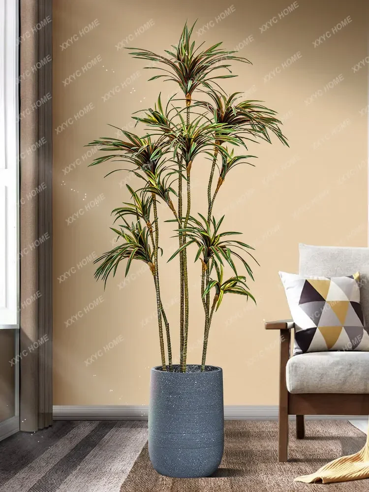 Simulation Dracaena Dracaena M - Dracaena Marginata recension och pris
