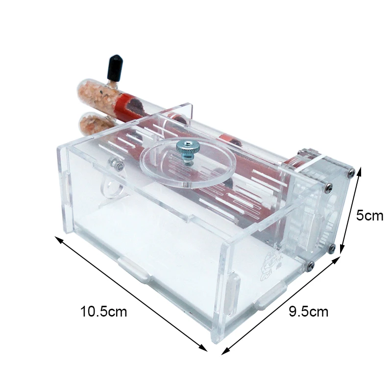 DIY Ant Farm 2 pcs 18-180mm Gy - Begonia Rex recension och pris