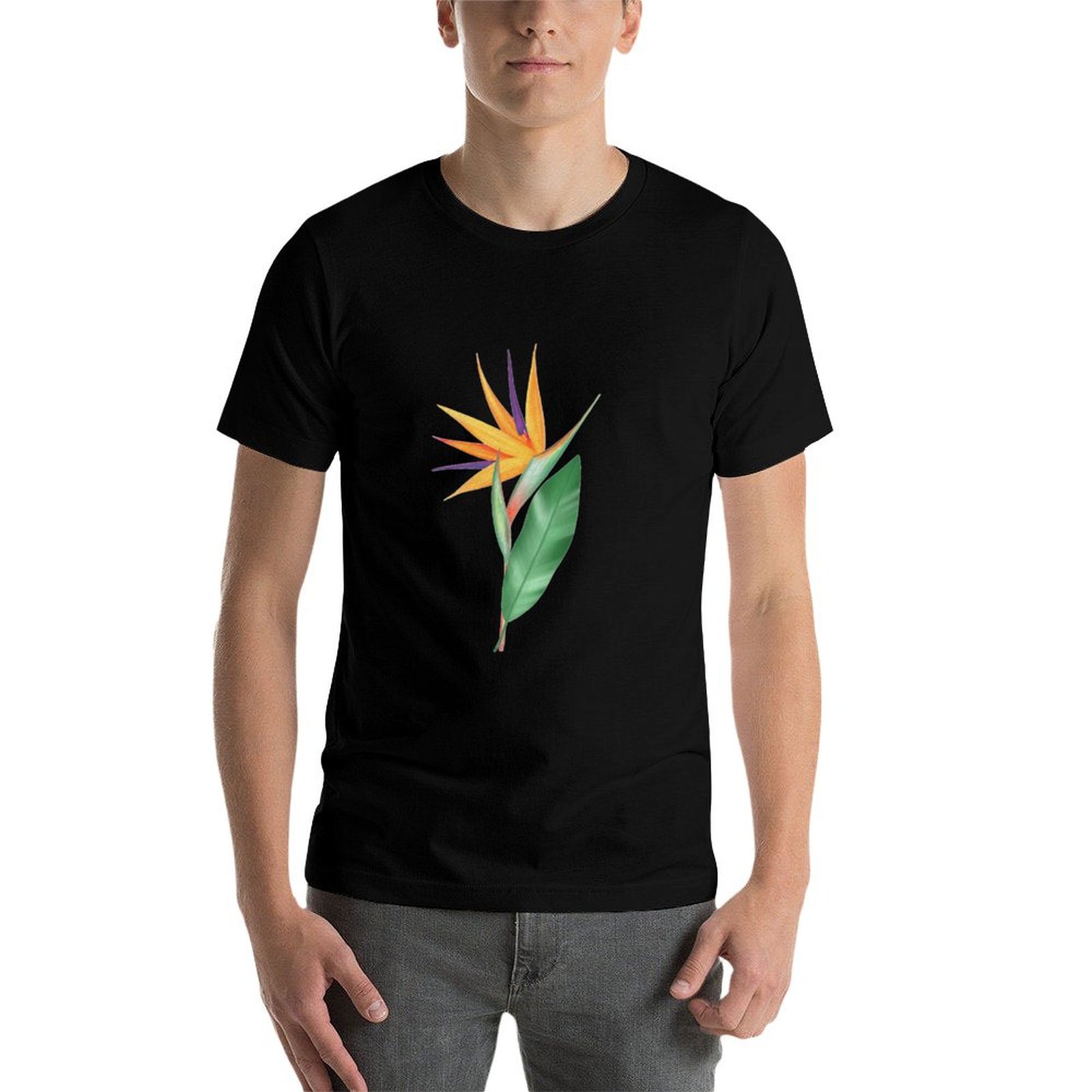 Watercolor bird of paradise fl - Bird Paradise Strelitzia recension och pris