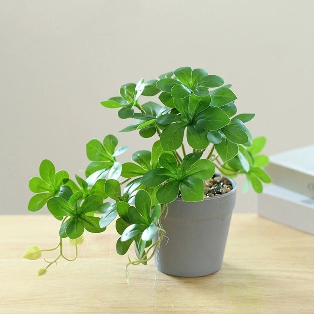 Bonsai Artificial Bonsai Plant - Spider Plant Hanging recension och pris