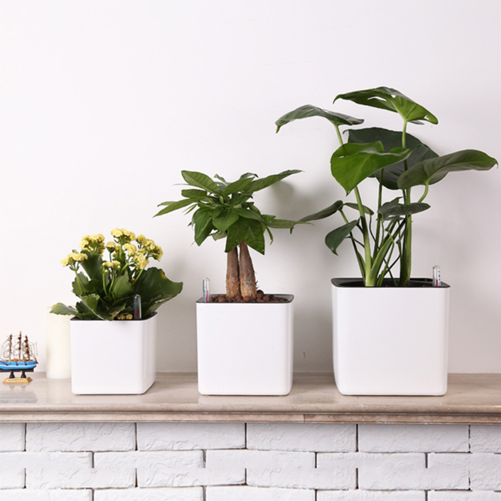 Self Watering Planter Self-wat - Aloe Vera Pot recension och pris