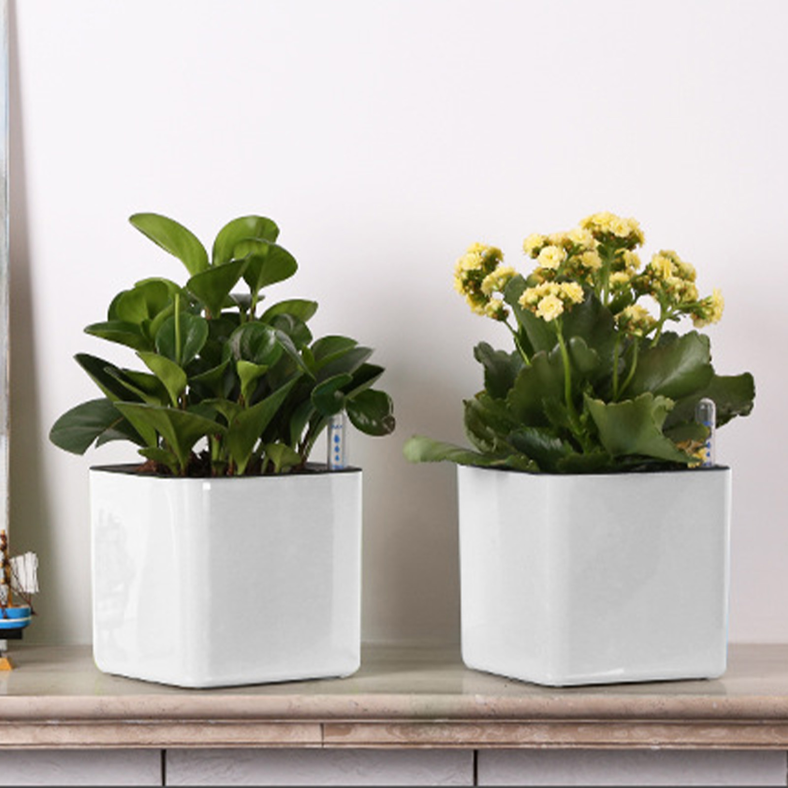 Self Watering Planter Self-wat - Aloe Vera Pot recension och pris