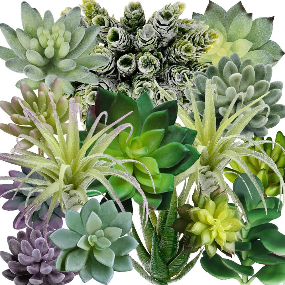 15 Pack Assorted Artificial Su - Echeveria Succulent recension och pris