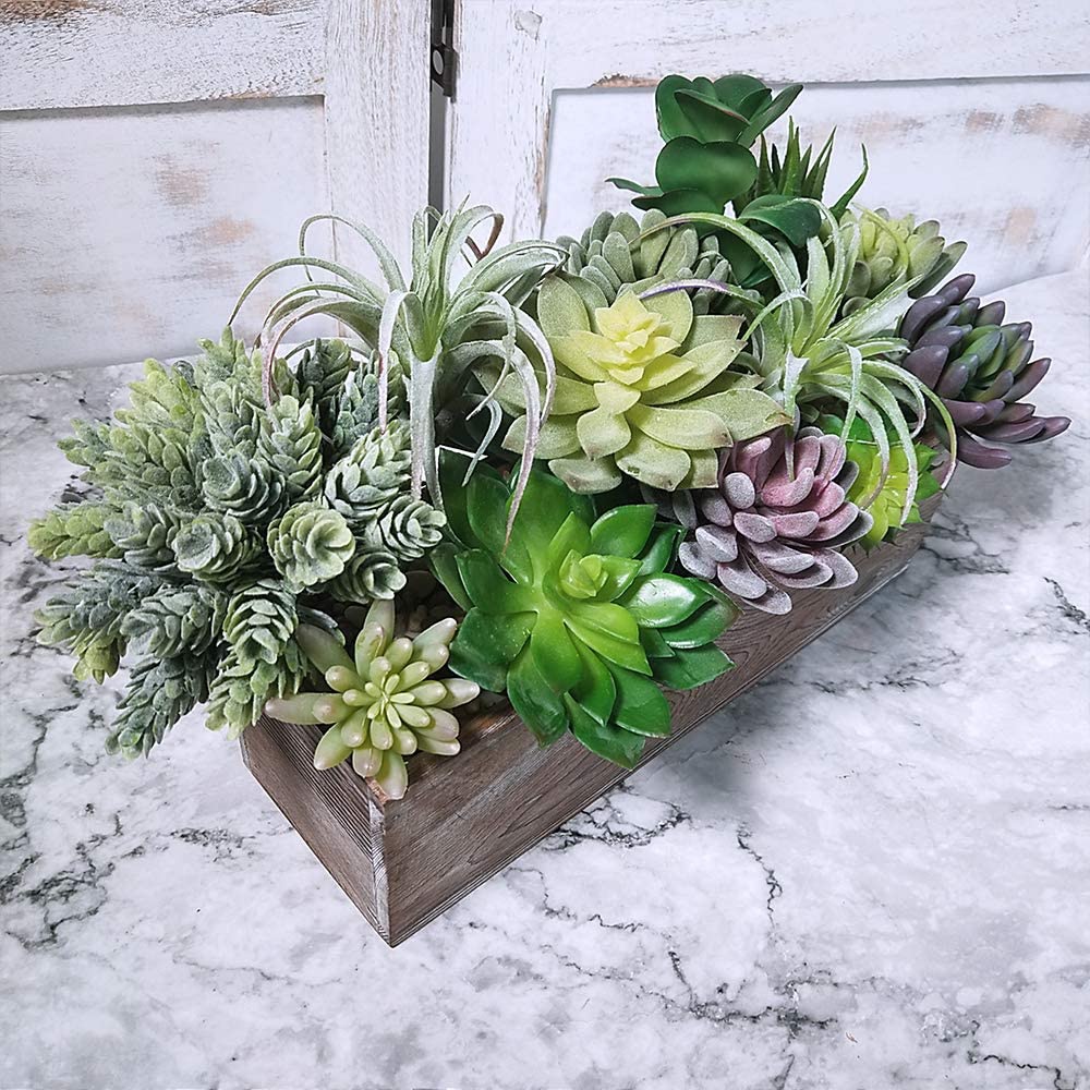 15 Pack Assorted Artificial Su - Echeveria Succulent recension och pris