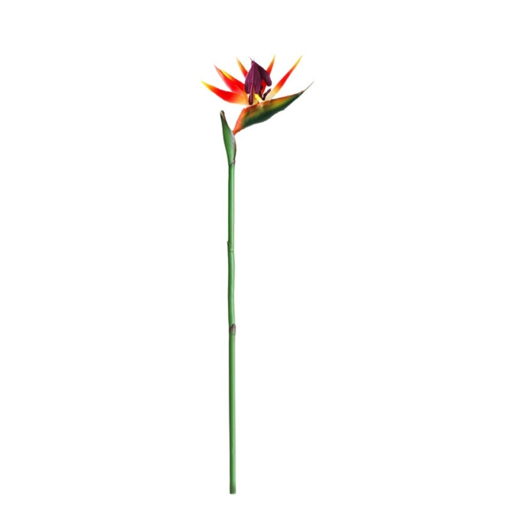 Long Stem Artificial Bird of P - Bird Paradise Strelitzia recension och pris
