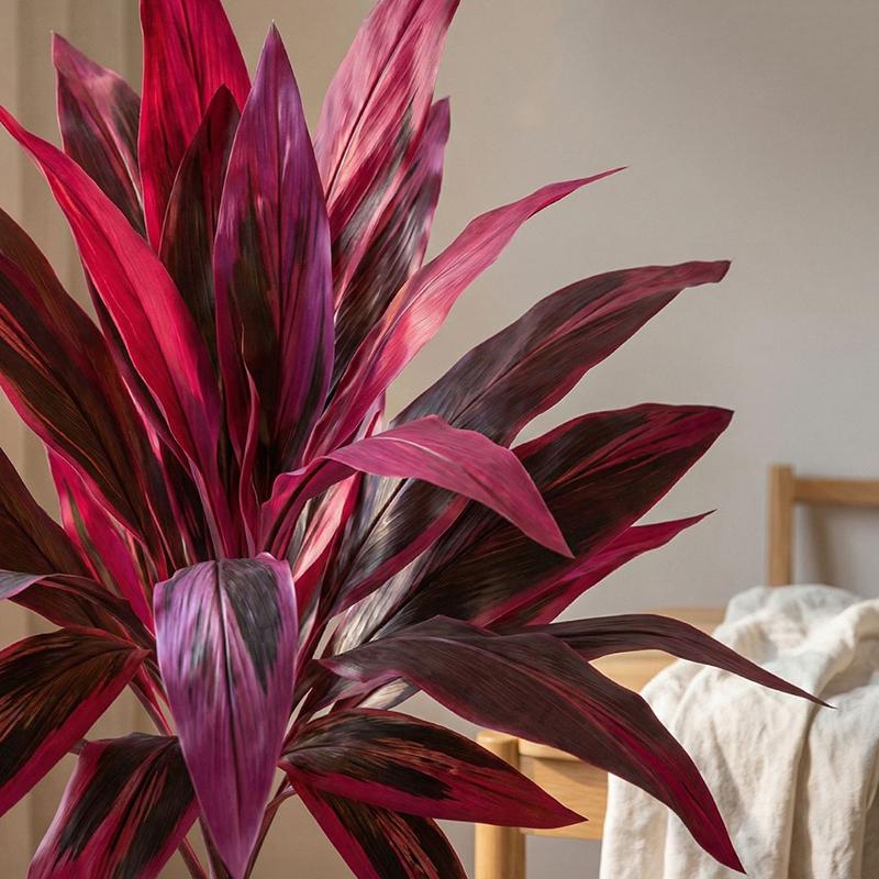 Large Artificial Dracaena Marg - Dracaena Marginata recension och pris