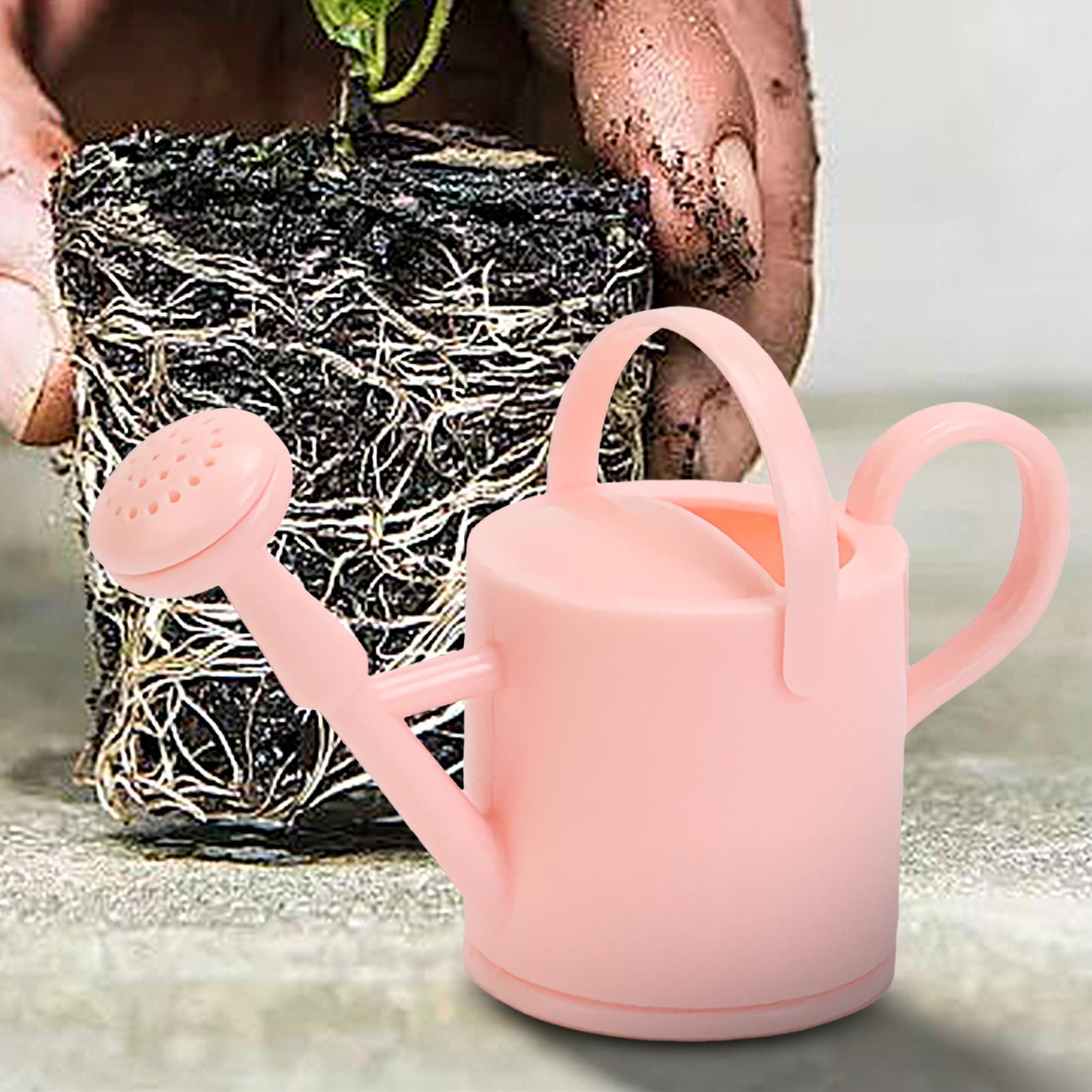 Small Kids Watering Can Flexib - Echeveria Succulent recension och pris
