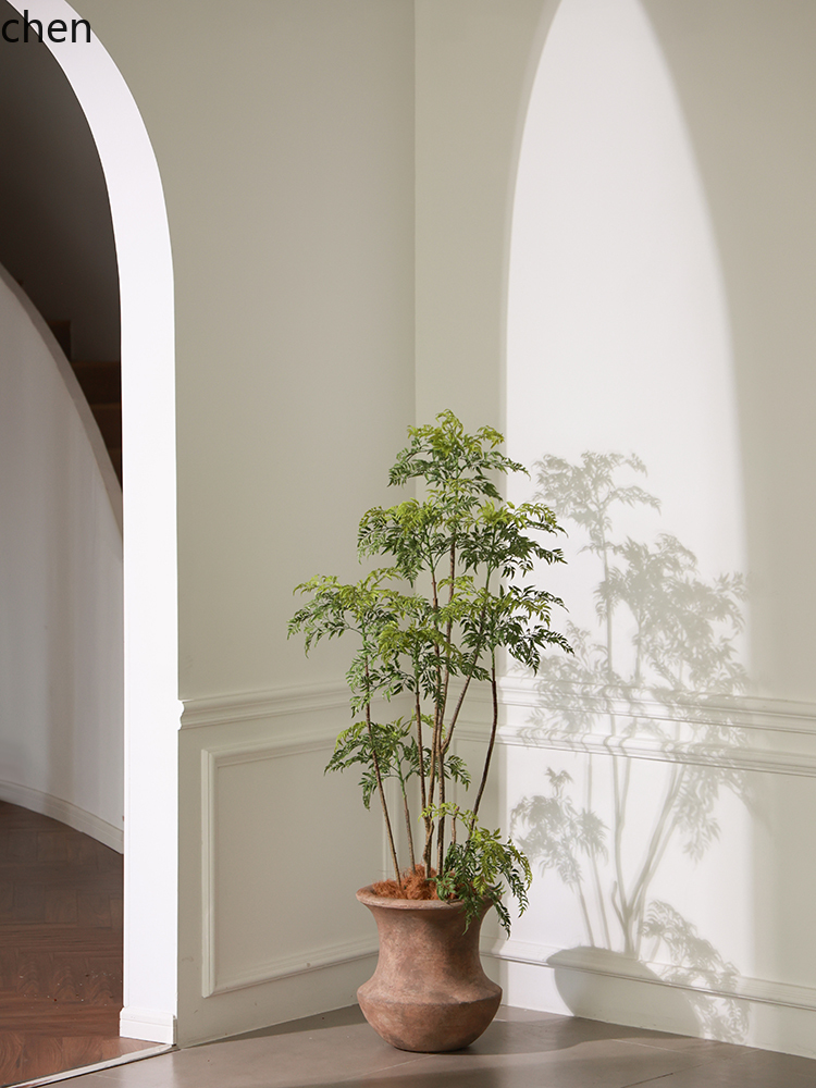 LYY  Floor Vase Green Plant Ar - Ficus Lyrata Tree recension och pris