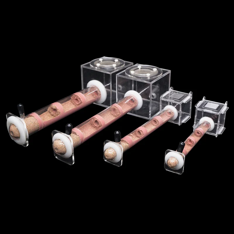 DIY Various Size Ant Farm Bamb - Begonia Rex recension och pris