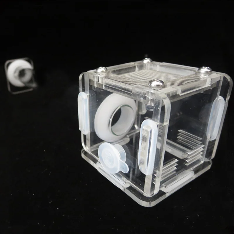 DIY Various Size Ant Farm Bamb - Begonia Rex recension och pris
