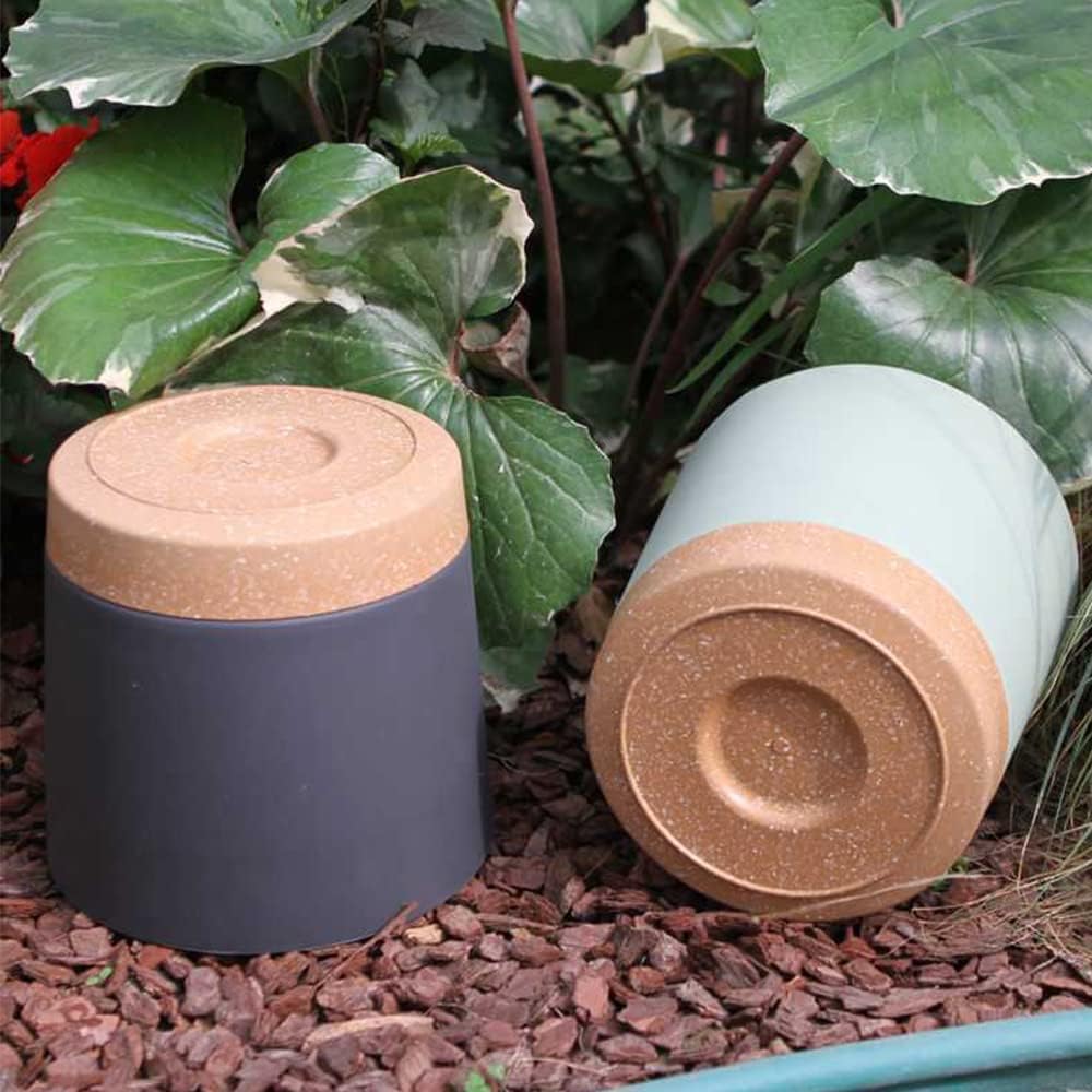 Plant POTS, lightweight Large  - Aloe Vera Pot recension och pris