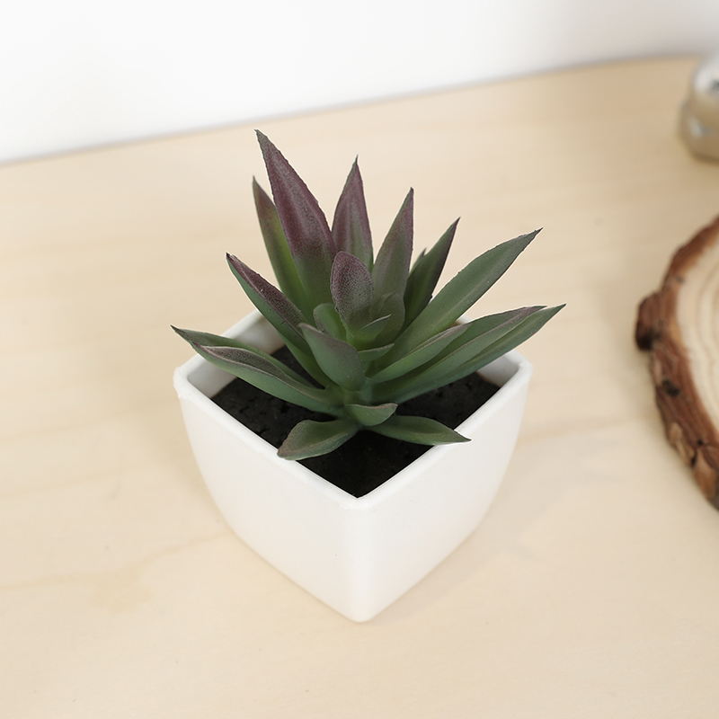 Mini Artificial Succulent Fair - Echeveria Succulent recension och pris