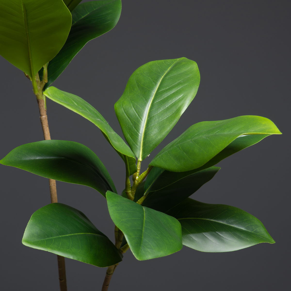 105cm 2 Forks Large Artificial - Dracaena Marginata recension och pris