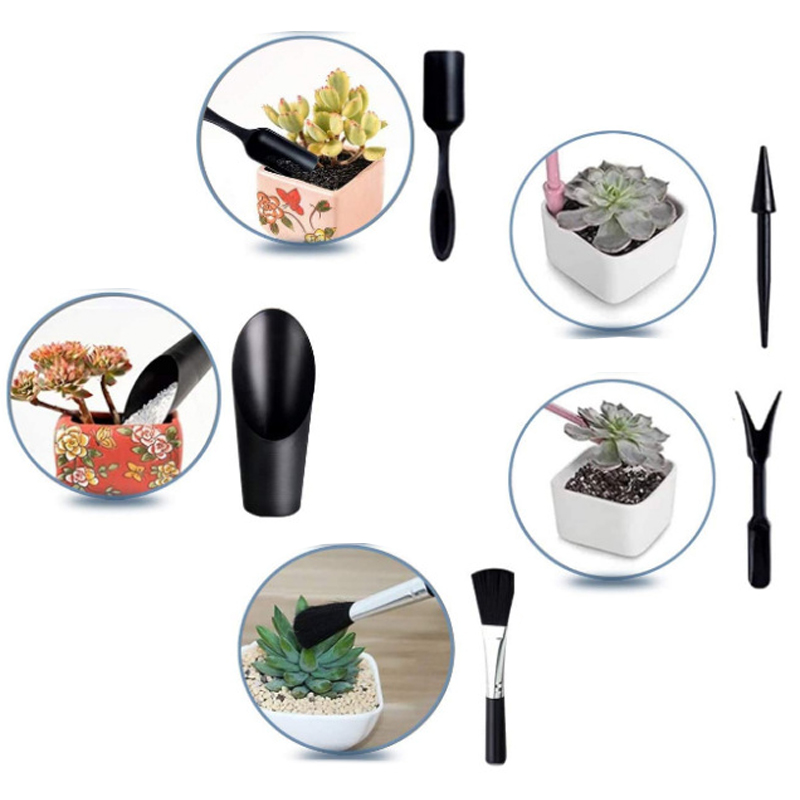 Mini Gardening Tool Set Label  - Echeveria Succulent recension och pris