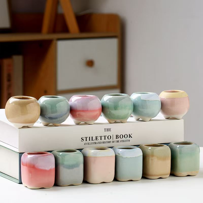 6Pcs Mini Flowerpot Succulents - Echeveria Succulent recension och pris