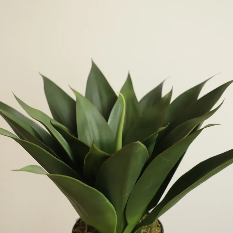 Artificial Potted Aloe Vera Pl - Aloe Vera Pot recension och pris