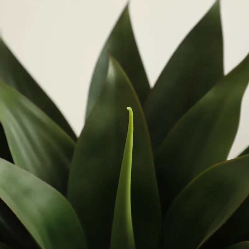 Artificial Potted Aloe Vera Pl - Aloe Vera Pot recension och pris