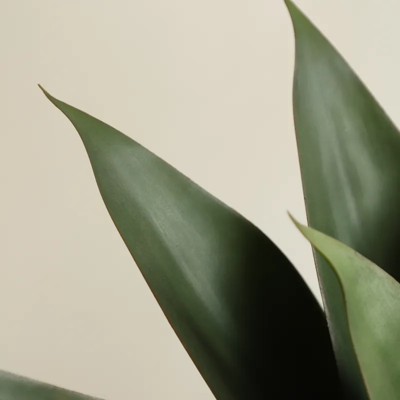 Artificial Potted Aloe Vera Pl - Aloe Vera Pot recension och pris